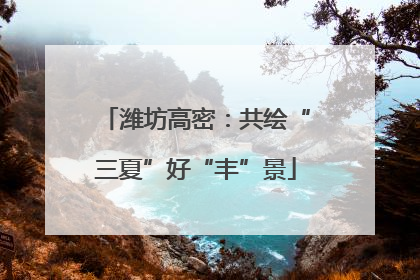 潍坊高密：共绘“三夏”好“丰”景