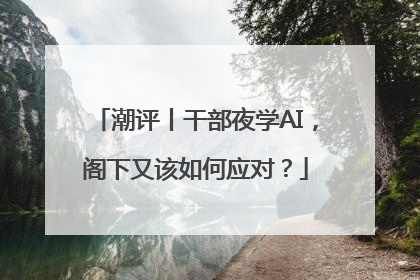 潮评丨干部夜学AI，阁下又该如何应对？