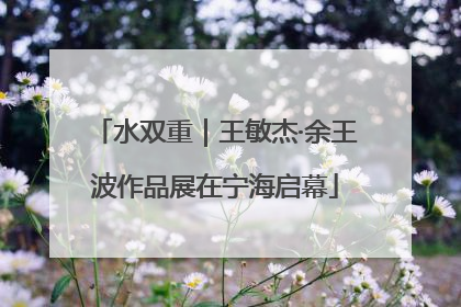 水双重｜王敏杰·余王波作品展在宁海启幕