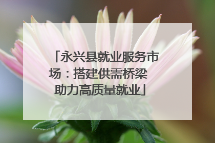 永兴县就业服务市场：搭建供需桥梁 助力高质量就业