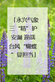 永兴气象三“精”护安澜 迎战台风“蝴蝶”显担当