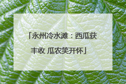 永州冷水滩：西瓜获丰收 瓜农笑开怀