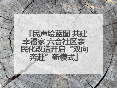 民声绘蓝图 共建幸福家 六合社区亲民化改造开启“双向奔赴”新模式