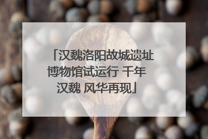 汉魏洛阳故城遗址博物馆试运行 千年汉魏 风华再现