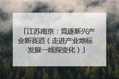 江苏南京：竞逐新兴产业新赛道（走进产业地标·发展一线探变化）