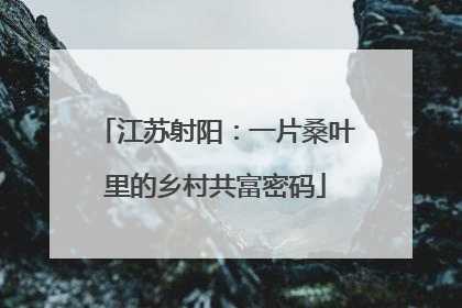 江苏射阳：一片桑叶里的乡村共富密码