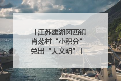 江苏建湖冈西镇肖荡村“小积分”兑出“大文明”