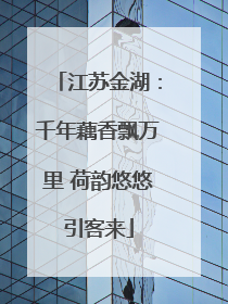 江苏金湖：千年藕香飘万里 荷韵悠悠引客来