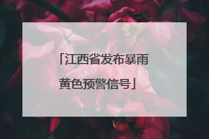 江西省发布暴雨黄色预警信号