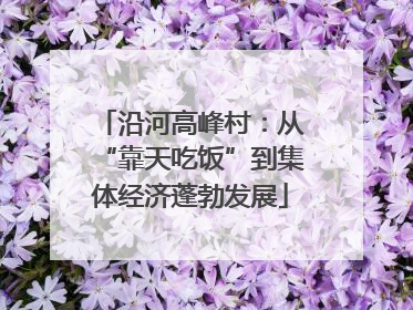 沿河高峰村：从“靠天吃饭”到集体经济蓬勃发展