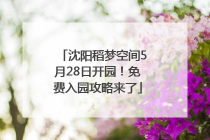 沈阳稻梦空间5月28日开园！免费入园攻略来了
