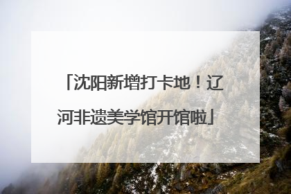 沈阳新增打卡地！辽河非遗美学馆开馆啦