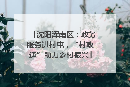 沈阳浑南区：政务服务进村屯，“村政通”助力乡村振兴