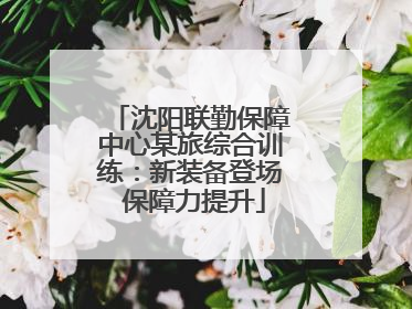 沈阳联勤保障中心某旅综合训练：新装备登场 保障力提升