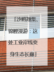 沙鸥翔集、锦鲤漫游：这处工业岸线变身生态长廊