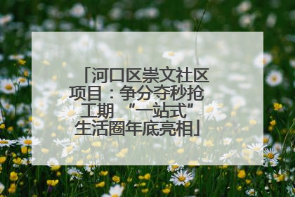 河口区崇文社区项目：争分夺秒抢工期 “一站式”生活圈年底亮相