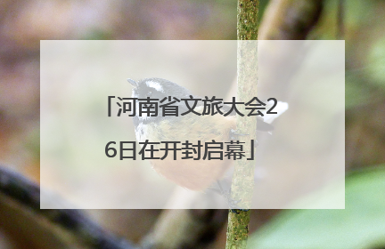 河南省文旅大会26日在开封启幕