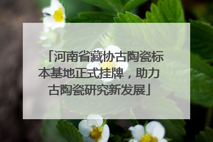 河南省藏协古陶瓷标本基地正式挂牌，助力古陶瓷研究新发展