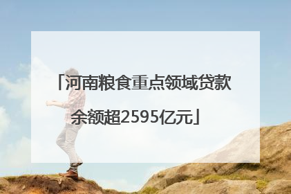 河南粮食重点领域贷款余额超2595亿元
