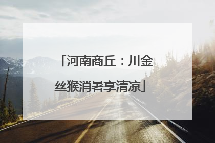 河南商丘：川金丝猴消暑享清凉