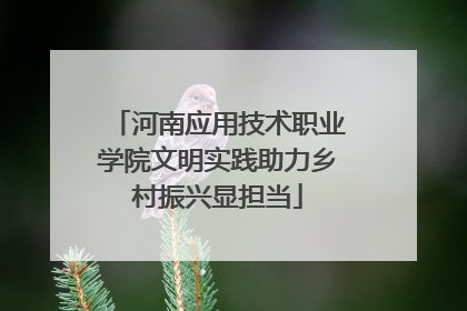 河南应用技术职业学院文明实践助力乡村振兴显担当