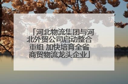 河北物流集团与河北外贸公司启动整合重组 加快培育全省商贸物流龙头企业