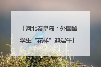 河北秦皇岛：外国留学生“花样”迎端午