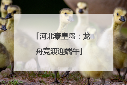 河北秦皇岛：龙舟竞渡迎端午