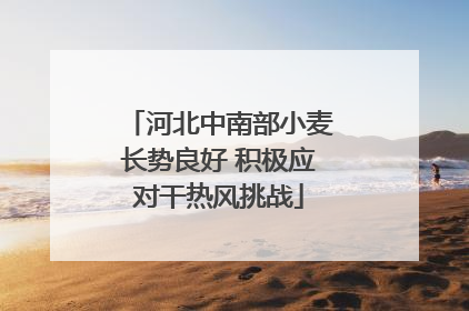 河北中南部小麦长势良好 积极应对干热风挑战