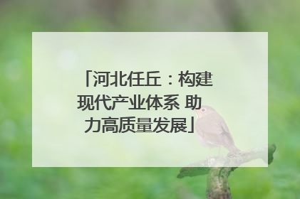 河北任丘：构建现代产业体系 助力高质量发展