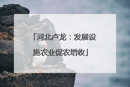 河北卢龙：发展设施农业促农增收