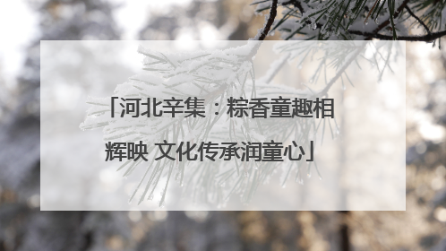 河北辛集：粽香童趣相辉映 文化传承润童心
