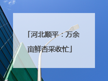 河北顺平：万余亩鲜杏采收忙