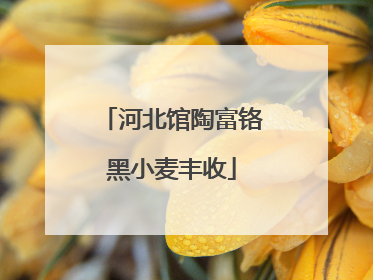 河北馆陶富铬黑小麦丰收