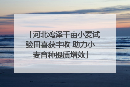 河北鸡泽千亩小麦试验田喜获丰收 助力小麦育种提质增效