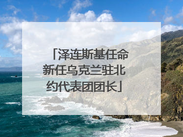 泽连斯基任命新任乌克兰驻北约代表团团长