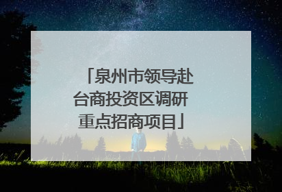 泉州市领导赴台商投资区调研重点招商项目