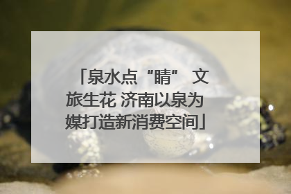 泉水点“睛” 文旅生花 济南以泉为媒打造新消费空间