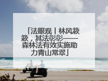 法眼观丨林风簌簌，其法彰彰——森林法有效实施助力青山常翠