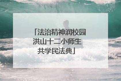 法治精神润校园 洪山十二小师生共学民法典