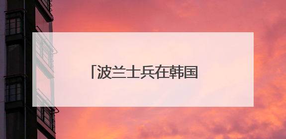 波兰士兵在韩国接受“天舞”火箭炮系统使用训练