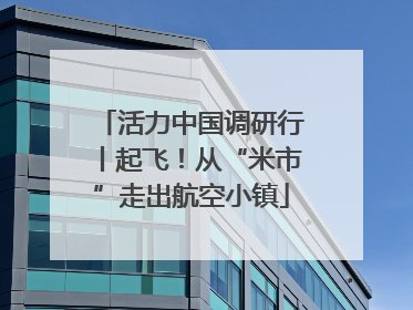 活力中国调研行丨起飞！从“米市”走出航空小镇