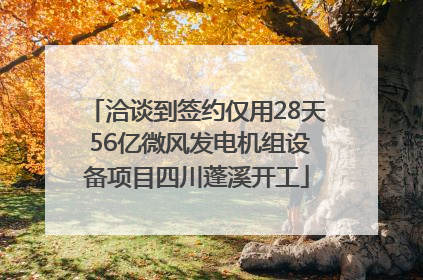 洽谈到签约仅用28天 56亿微风发电机组设备项目四川蓬溪开工
