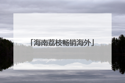 海南荔枝畅销海外