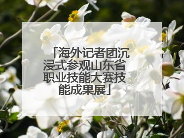 海外记者团沉浸式参观山东省职业技能大赛技能成果展