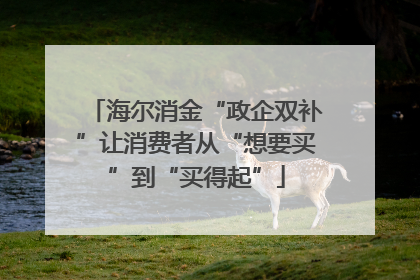 海尔消金“政企双补”让消费者从“想要买”到“买得起”