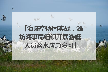 海陆空协同实战，潍坊海事局组织开展游艇人员落水应急演习