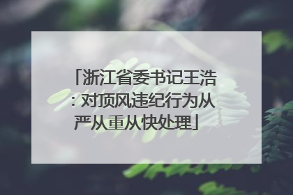 浙江省委书记王浩：对顶风违纪行为从严从重从快处理