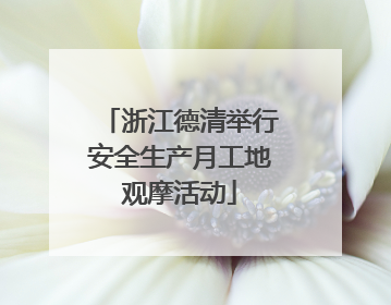 浙江德清举行安全生产月工地观摩活动