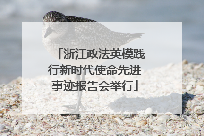 浙江政法英模践行新时代使命先进事迹报告会举行